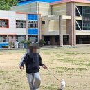 안천초등학교 이미지