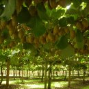 식이농장 이미지