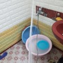 사이동 요진아파트 이미지