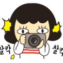 로이드밤 롯데마트장암점