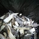 참좋은건강원 이미지