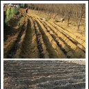 윤승농장 이미지