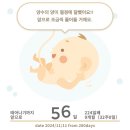 크레페허브