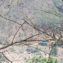 원창5리 이미지