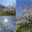 동구리 호수공원 이미지