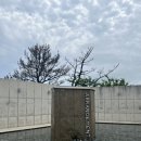 어레인지먼트 커피 | 포항 오션뷰 베이커리 카페 어레인지먼트 내돈내산 솔직 후기
