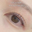 뷰아지니토탈뷰티 | 양주 덕계역 옥정 속눈썹펌 뷰아지니 방문 후기
