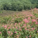 중인농장 이미지