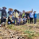 용산면 행정복지센터 이미지