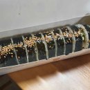 나만의 수제도장 만들기(6월) 이미지