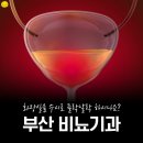 분당예비뇨기과의원 | 부산여자비뇨기과 아닌 남성 비뇨기과를 찾는다면