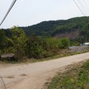 강림면사무소 이미지