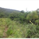 신시도초등학교 이미지