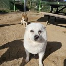 죽빵훈련소 이미지