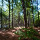 동막동(5) 이미지