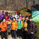 우면산3-13 이미지