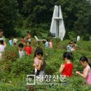 김영이 농장 이미지