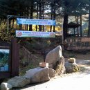 청태산휴양림 이미지