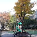 초롱어린이공원 이미지