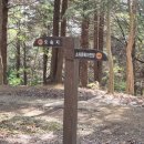 천년뜨락작은도서관 | 전주 걷기 좋은 길, 전북 천리길 건지산 둘레길