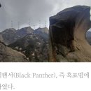 흑표범(black panther) 에 가자 이미지