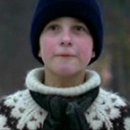 지혜의 나무 이미지