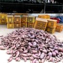 상생농장 이미지