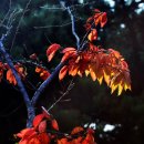 대교어린이공원 이미지