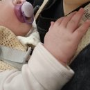 안무중 | 쪽쪽이 안무는 아기의 필립스 아벤트 울트라 소프트 쪽쪽이 후기