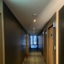 옐로우 마린 블루 이미지