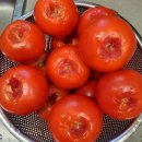 2334 | 완숙토마토 효능 5kg 보관법 요리/ 봉이네CR2334 구매 후기