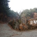 일영3리 Daum카페