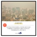 천하효태권도장 이미지