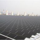 수영태양광발전소 이미지