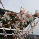 귀래농장 이미지