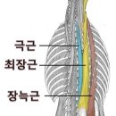 우일헬스 이미지