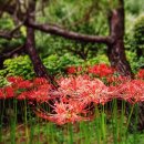 심정형외과의원 이미지