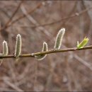 수동그린낚시터 이미지