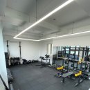 리햅포먼스 이미지