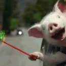 옥상파티 이미지