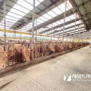 백암축산 이미지