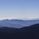 다섯손가락 이미지