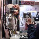 복덩이복권 이미지