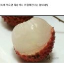 빈속에 먹으면 목숨까지 위험해진다는 열대과일 리치 이미지