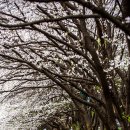 북한강로 이미지