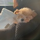 효자남길 이미지