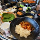 쭈꾸미이선생 이미지