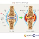 윤성한의원 이미지