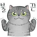 가온약품 이미지