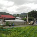 남군자산(827m)-군자산(948.2m)[2022.8.2(화)] 이미지